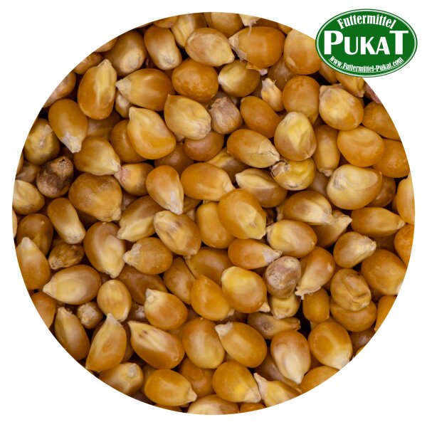 Mais - Futtermais 1kg