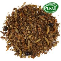 CéDé Insektenfutter 600g